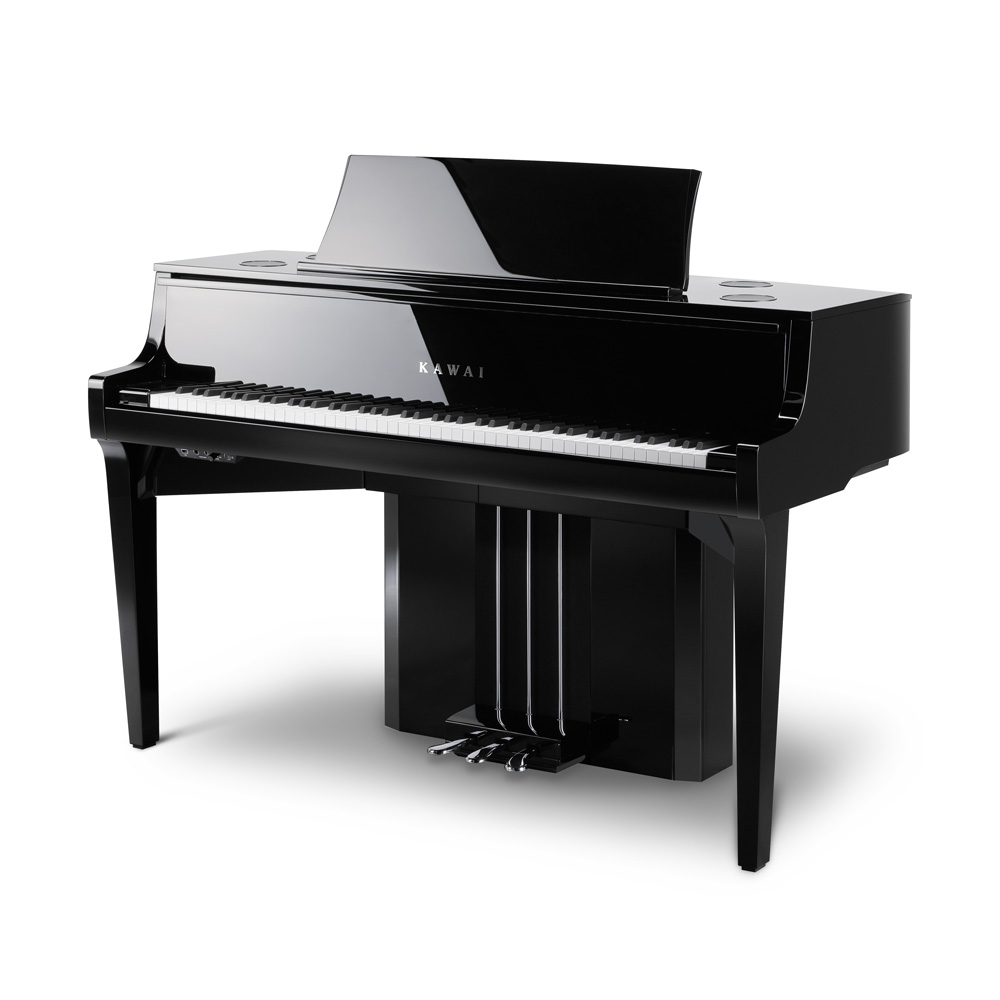 Black hybrid piano: looks like the front of a grand piano without the back.